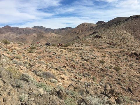 DVR 21 03 Resting Spg Tr Pass.jpg